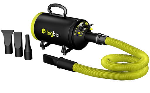 [BB1-102676] BigBoi BlowR Mini