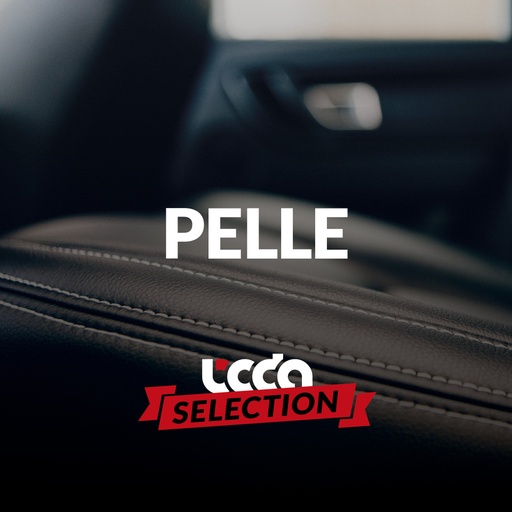 [mixLSPelle] La Selezione Pelle