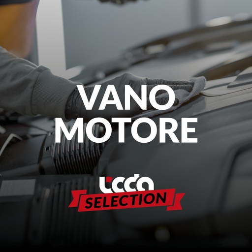 [mixLSMotore] La Selezione Vano Motore